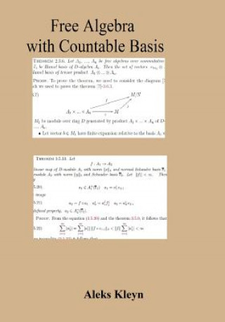 Könyv Free Algebra with Countable Basis Aleks Kleyn