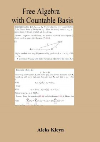 Książka Free Algebra with Countable Basis Aleks Kleyn