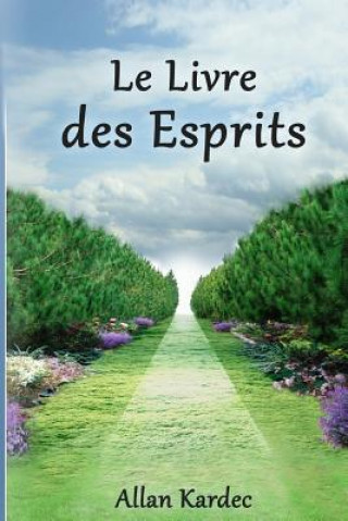 Книга Le Livre Des Esprits Allan Kardec