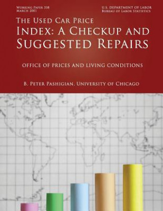 Книга The Used Car Price Index: A Checkup and Suggested Repairs Peter  Pashigian