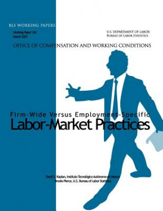 Knjiga Firm-Wide Versus Employment-Specific Labor-Market Practices David S Kaplan