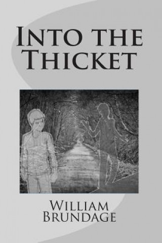 Book Into the Thicket William Brundage