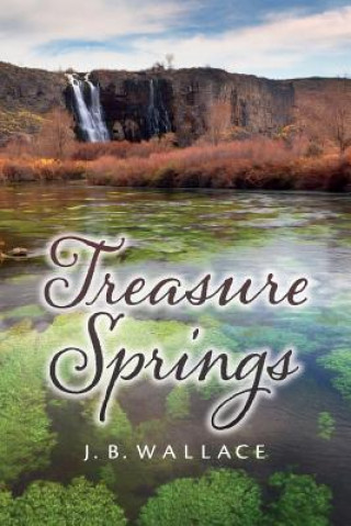 Carte Treasure Springs J B Wallace