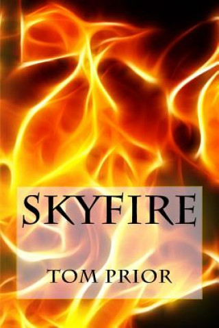 Buch Skyfire Tom Prior