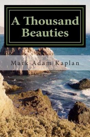 Boek A Thousand Beauties Mark Adam Kaplan