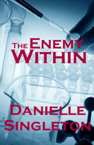 Kniha Enemy Within (Joseph #2) Danielle Singleton