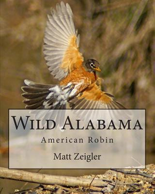 Kniha Wild Alabama: American Robin Matt Zeigler