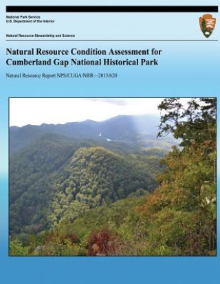 Książka Natural Resource Condition Assessment for Cumberland Gap National Historical Park Gary Sundin