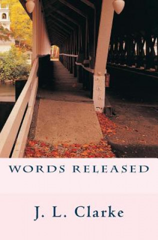 Boek Words Released J L Clarke
