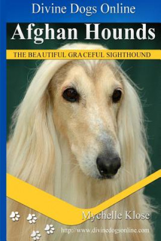 Kniha Afghan Hounds: Divine Dogs Online Mychelle Klose