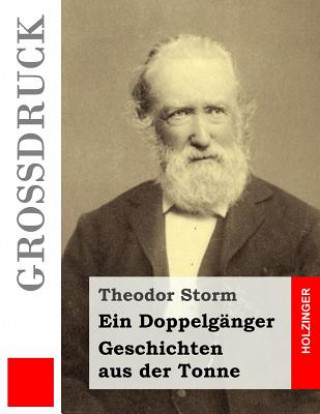 Книга Ein Doppelgänger / Geschichten aus der Tonne (Großdruck) Theodor Storm