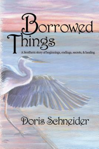 Kniha Borrowed Things Doris A Schneider