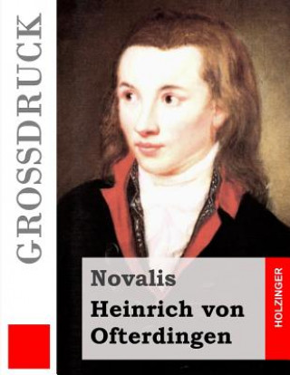 Könyv Heinrich von Ofterdingen (Großdruck) Novalis
