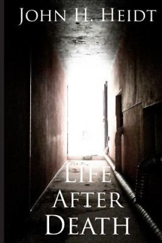 Libro Life After Death John H Heidt