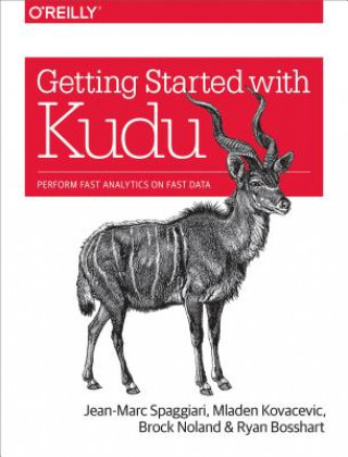 Kniha Getting Started with Kudu Jean-Marc Spaggiari