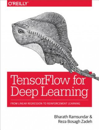 Könyv TensorFlow for Deep Learning Bharath Ramsundar