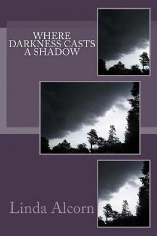 Buch Where Darkness Casts a Shadow Linda Alcorn