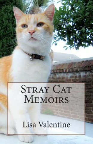 Kniha Stray Cat Memoirs Lisa M Valentine