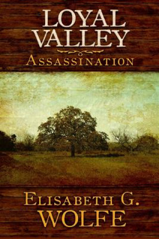 Kniha Loyal Valley: Assassination Elisabeth G Wolfe