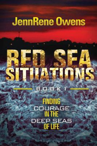 Knjiga Red Sea Situations: Finding Courage in The Deep Seas of Life Jennrene Owens Lmsw