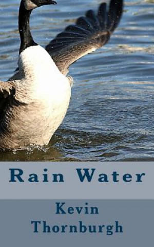 Книга Rain Water: poetry Kevin Thornburgh