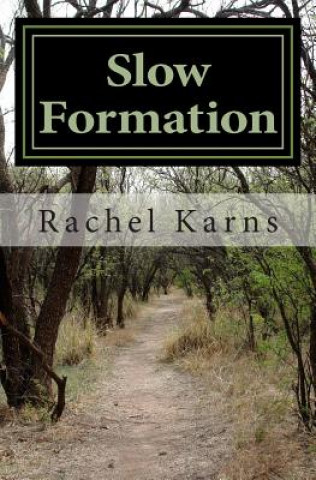 Book Slow Formation Rachel Karns