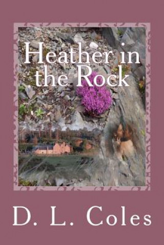 Книга Heather in the Rock D L Coles