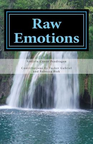 Kniha Raw Emotions: A Collection of Poetry Aneirin Conor Pendragon