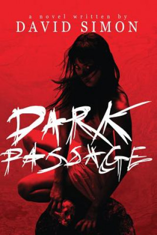 Kniha Dark Passage David Simon