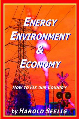 Kniha Energy, Environment, & Economy Harold Seelig
