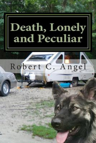 Kniha Death, Lonely and Peculiar: A Dr. Ray Raether South Carolina Travel Mystery Robert C Angel