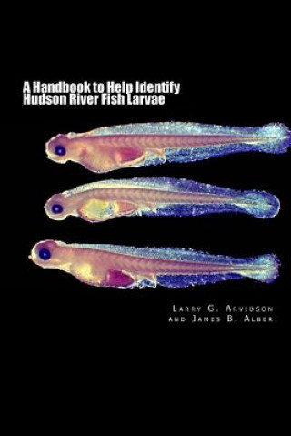 Carte A Handbook to Help Identify Hudson River Fish Larvae Larry G Arvidson