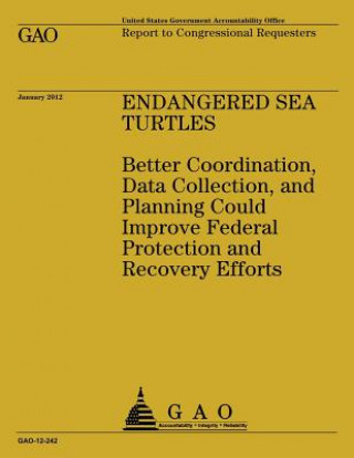 Kniha Endagered Sea Turtles: Better Coordination, Data Collection, and Planning Could Improve Federal Protection and Recovering Efforts Government Accountability Office