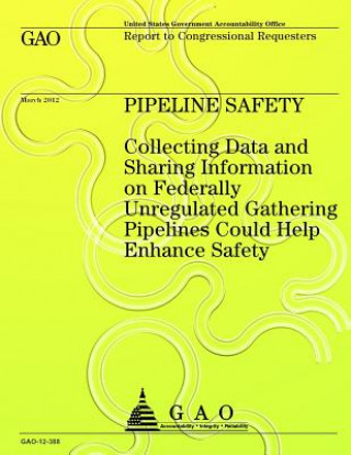 Kniha Pipeline Safety Collecting Data and Sharing Information on Federally Unregulated Gathering Pipelines Could Help Enhance Safety Government Accountability Office