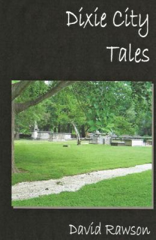 Book Dixie City Tales David Rawson