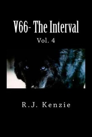 Книга V66- The Interval Vol. 4 Domino