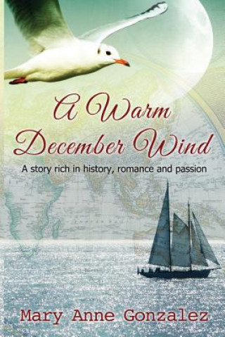 Kniha A Warm December Wind Mary Anne Gonzalez