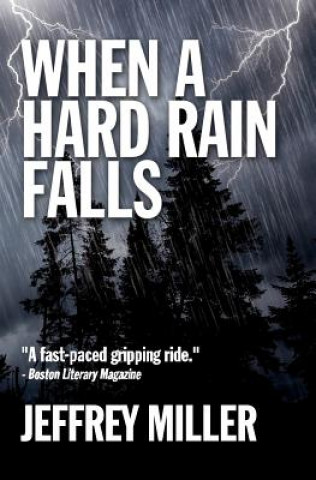 Book When A Hard Rain Falls Jeffrey Miller