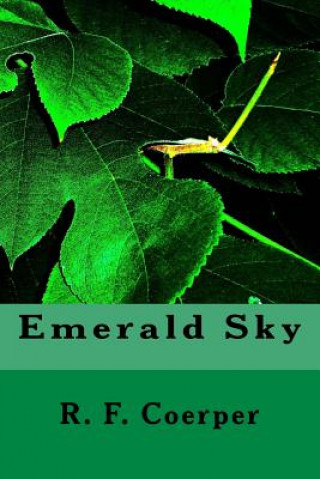 Boek Emerald Sky R F Coerper