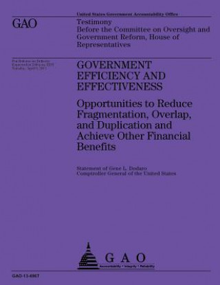 Kniha Government Efficiency and Effectiveness: Opportunities to Reduce Fragmentation, Overlap, and Duplication and Achieve Other Financial Benefits Government Accountability Office