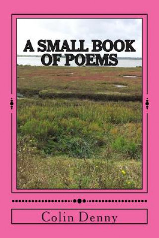 Kniha A small book of poems: Volume 1 MR Colin R Denny