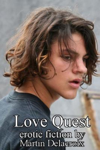 Книга Love Quest Martin Delacroix