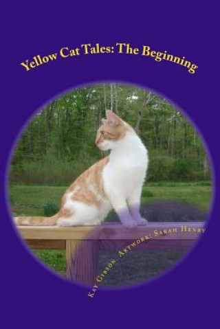 Książka Yellow Cat Tales: The Beginning Kay Gibson