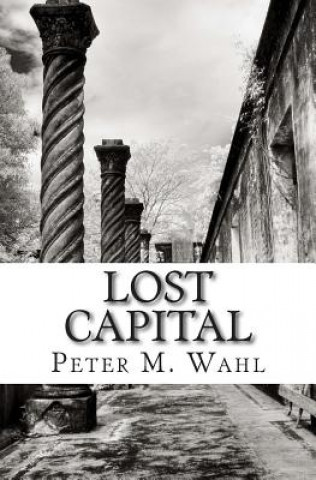 Knjiga Lost Capital Peter M Wahl