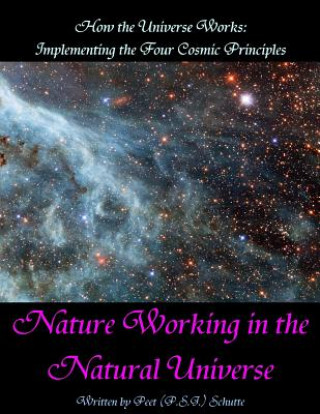 Carte How the Universe Works: Implementing the four cosmic principles: Nature Working in the Natural Universe MR P S J (Peet) Schutte