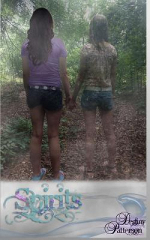 Buch Spirits Destiny Patterson