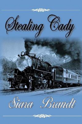 Book Stealing Cady Siara Brandt
