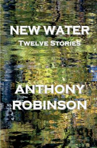 Knjiga New Water: Twelve Stories Anthony Robinson