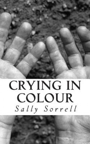 Könyv Crying in Colour: A Nonsense Novella Sally Sorrell