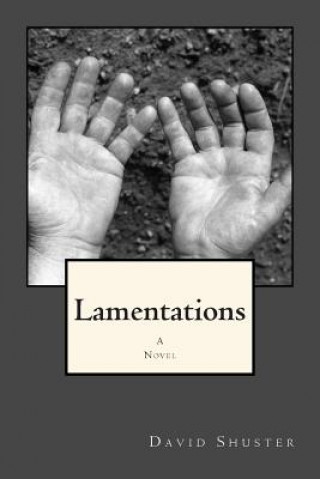 Könyv Lamentations David Shuster